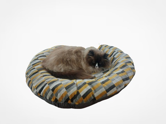 Pet Beds
