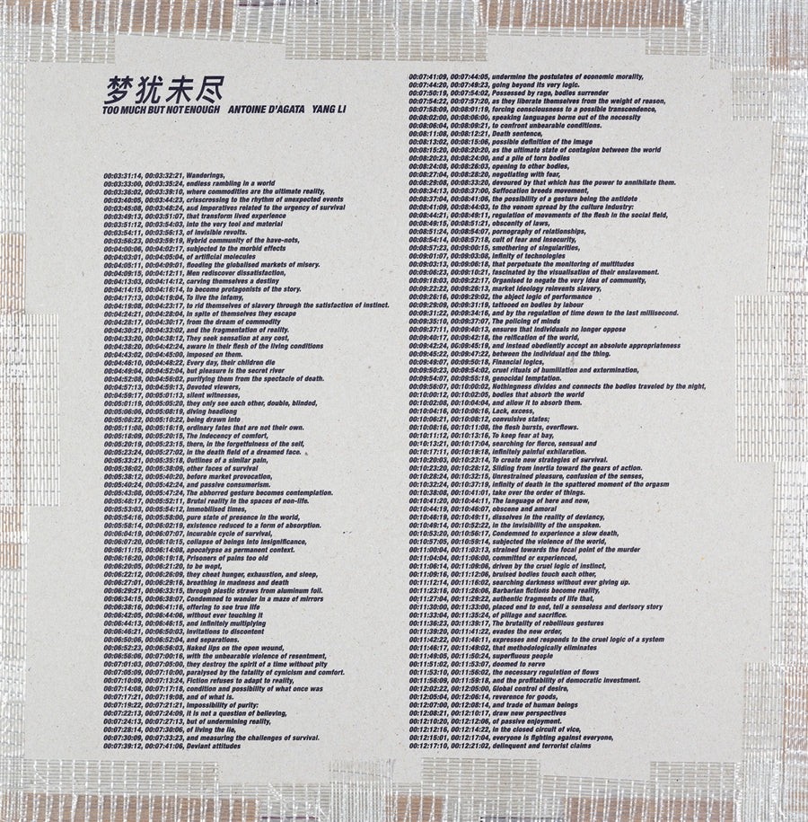 Yang Li and Antoine dAgata: Too Much But Not Enough