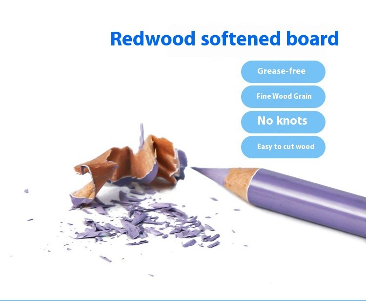 24-color Painting Skin Color Pen Hand-painted Portrait Color Pencil Oily Art Supplies