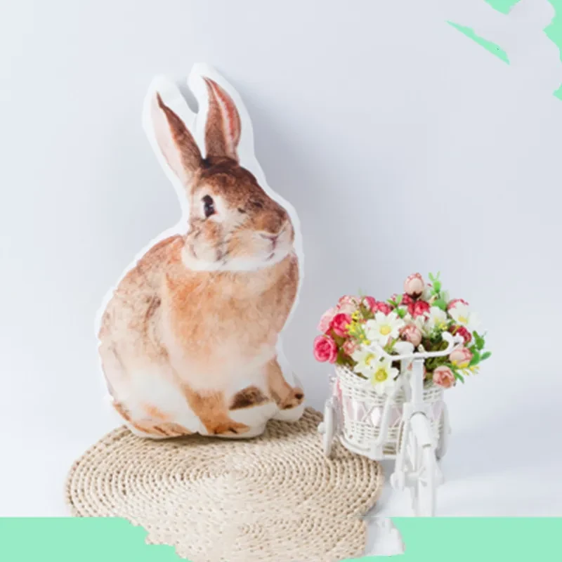 Diy Customized Pillow 3d Photos Customized Pet Pillow