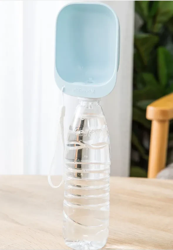 Teddy portable drinking water bottle