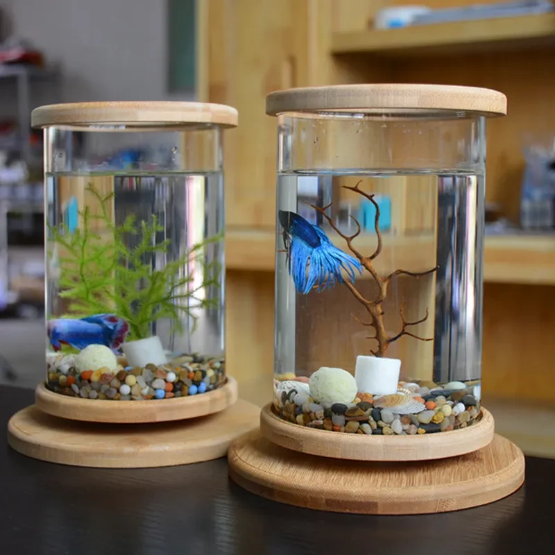 Serenity Glass Fish Bowl with Bamboo Stand