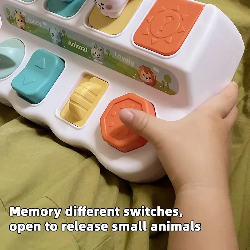 Pop-Up Animal Learning Box - Enhances Logic & Memory Skills