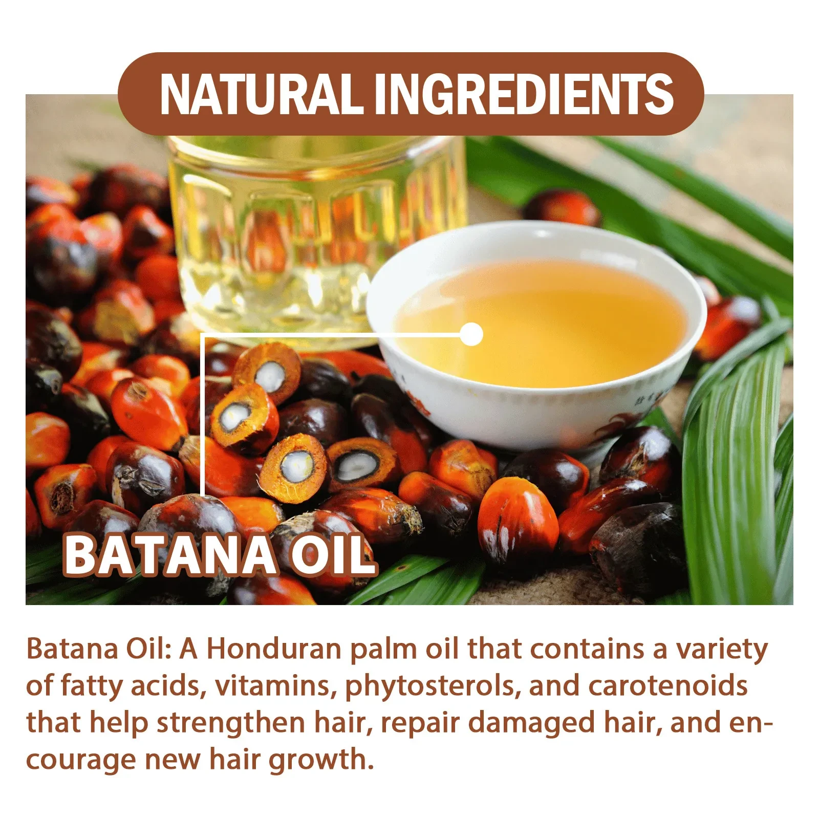 Hair Conditioner Pure Batana Oil