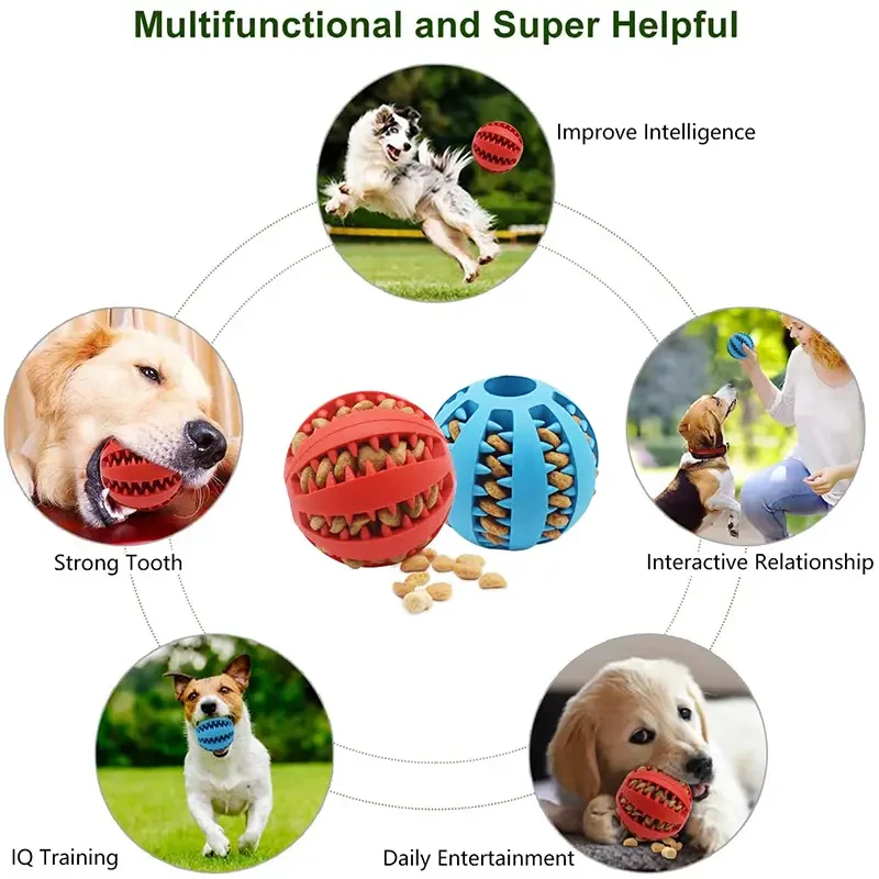 Interactive Elastic Dog Ball Toy