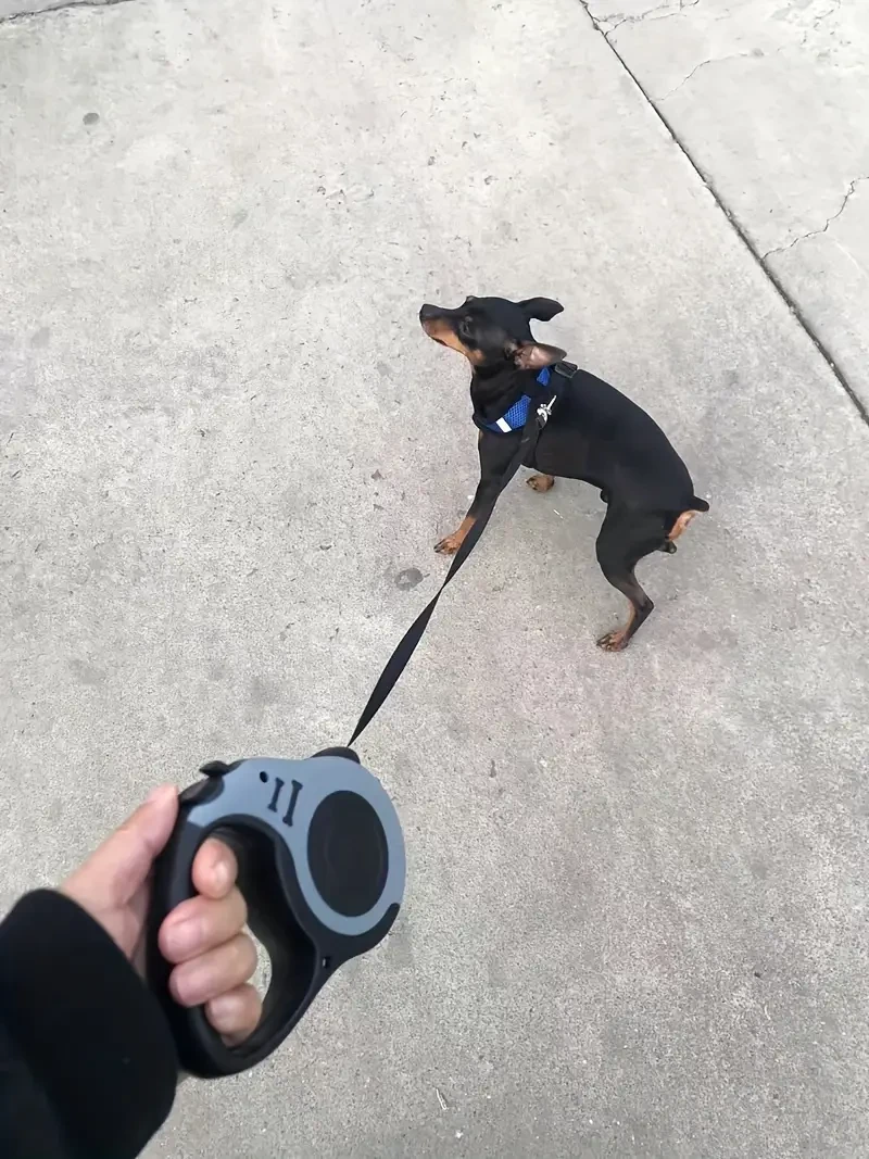 Dual-Button Retractable Dog Leash
