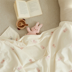 Cute Baby Bear Soft Fluffy Blanket Half Velvet