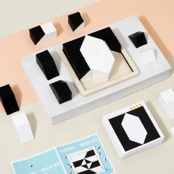 3D Wood Hiding Blocks Geometric Shapes Kids Logical Thinking Training Educational Toys