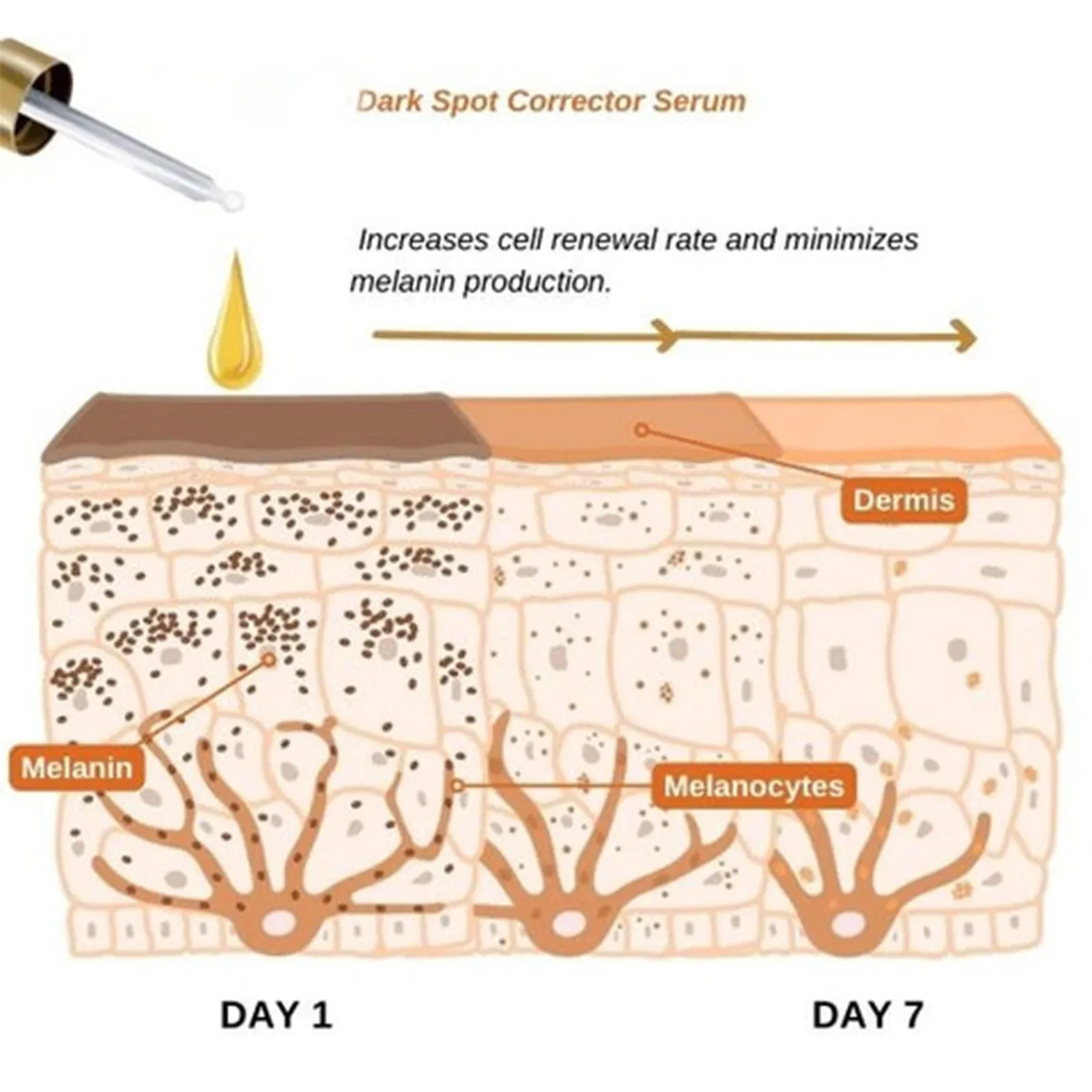 Spot Fading Melanin Skin Rejuvenation
