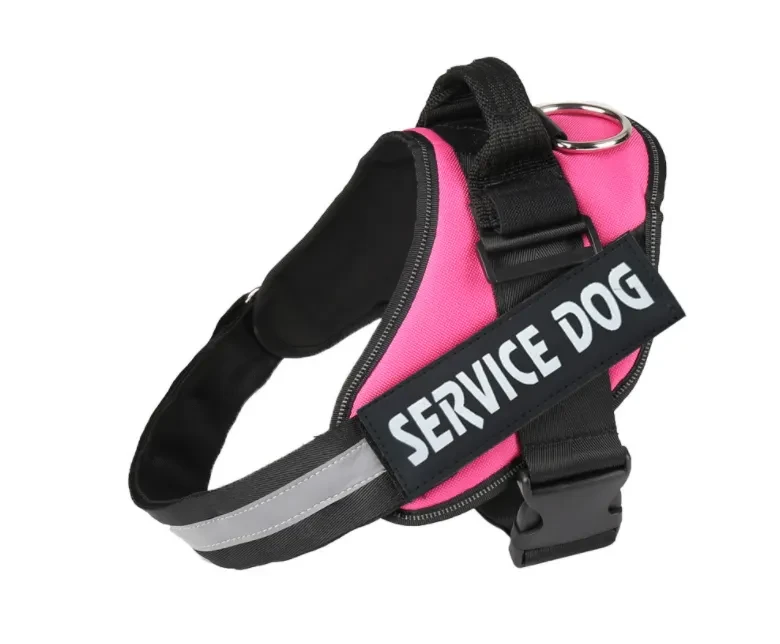 Personalized Dog Harness