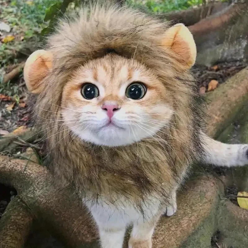 Adorable Lion Mane Costume for Cats Durable and Comfy