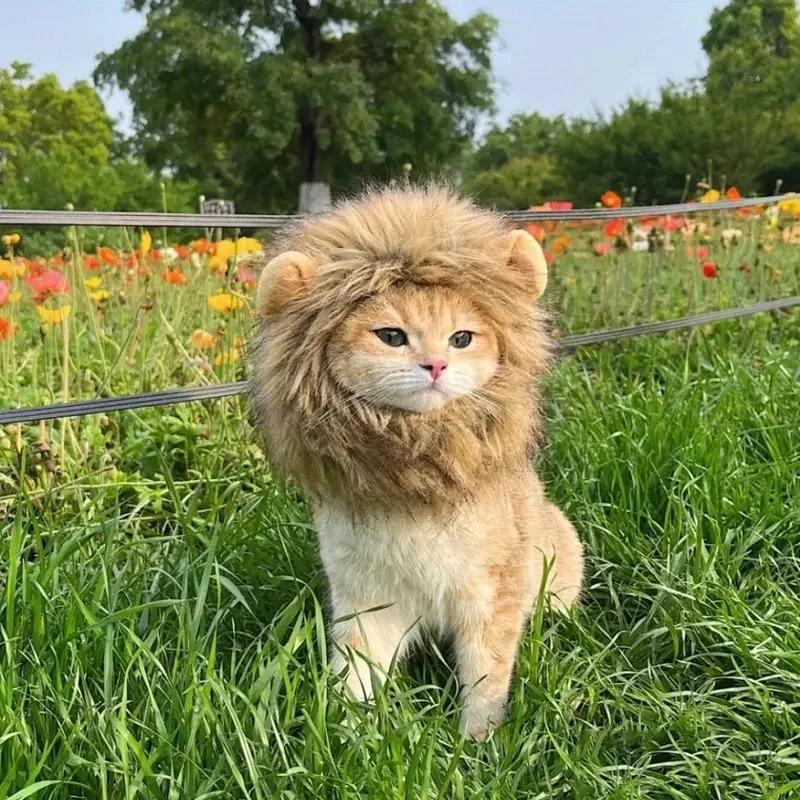 Adorable Lion Mane Costume for Cats Durable and Comfy