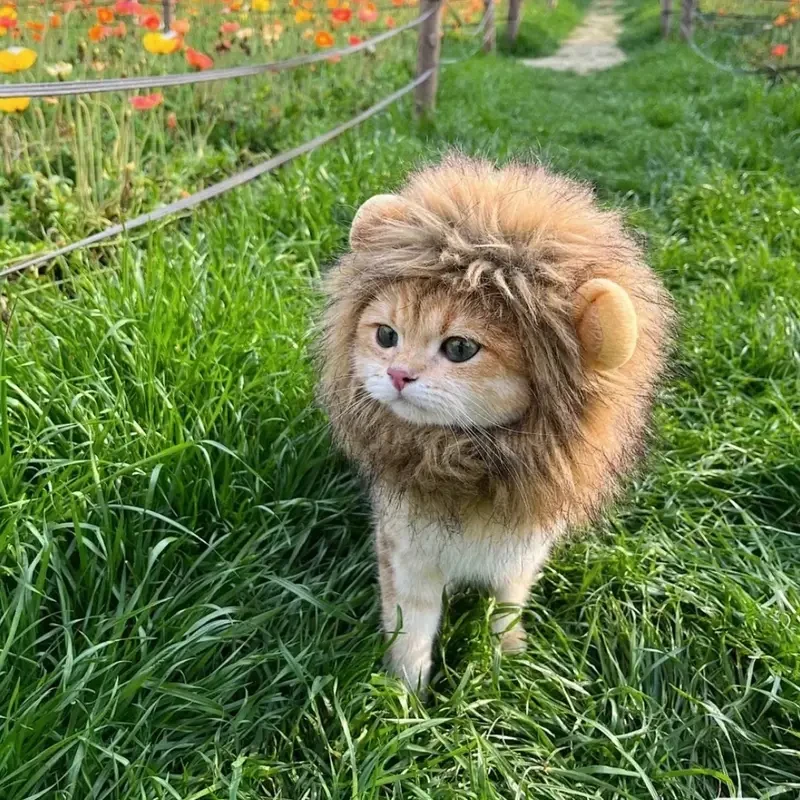 Adorable Lion Mane Costume for Cats Durable and Comfy