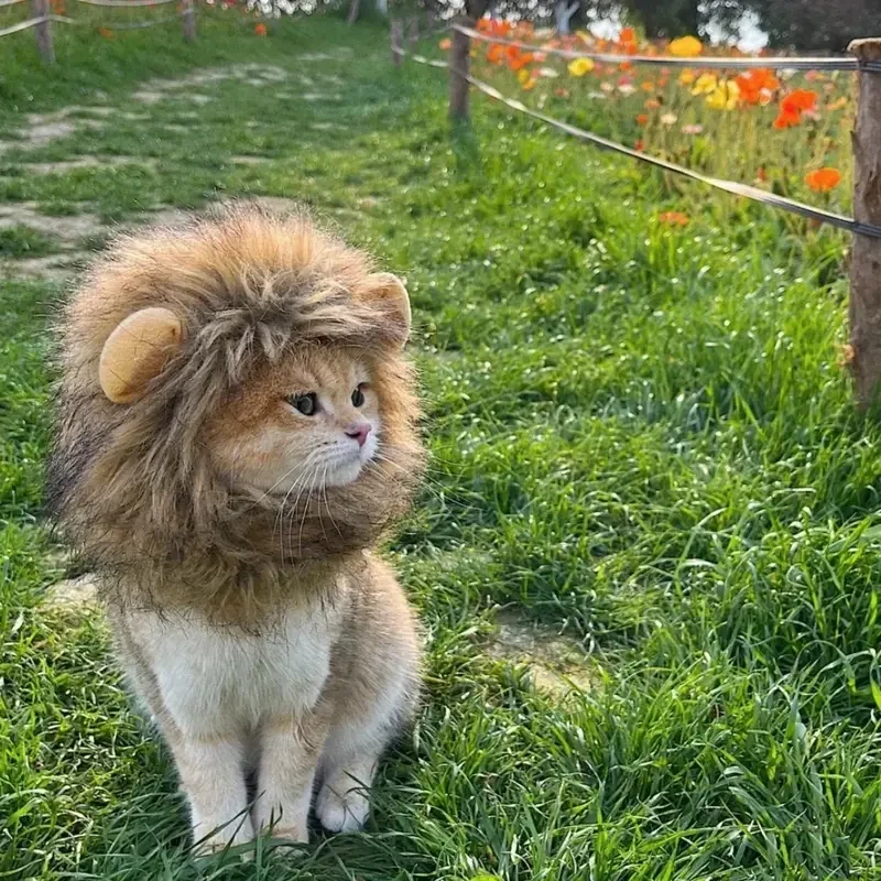 Adorable Lion Mane Costume for Cats Durable and Comfy
