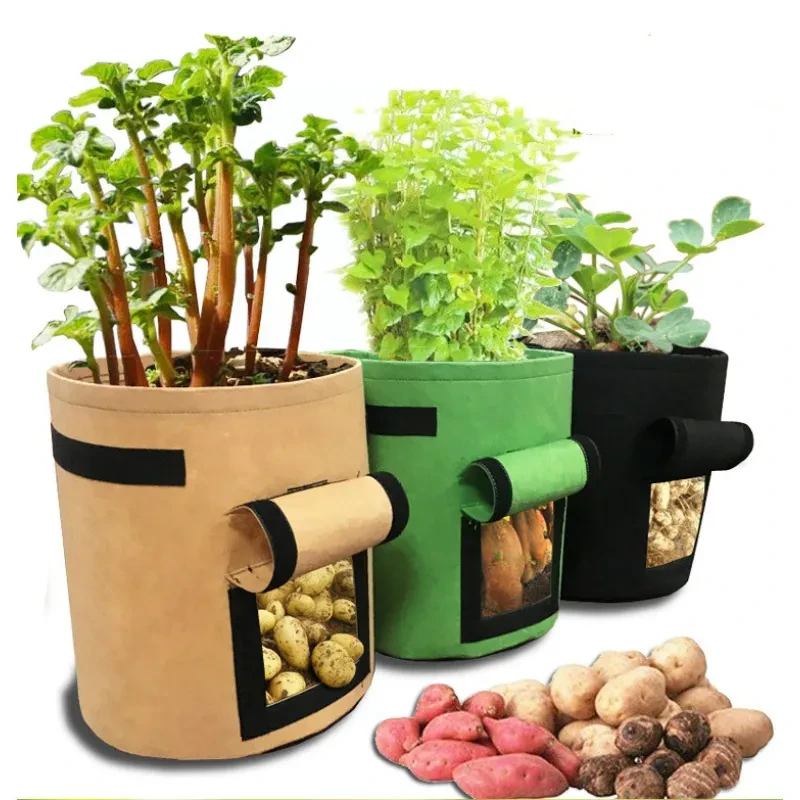 Potato Planting Bag