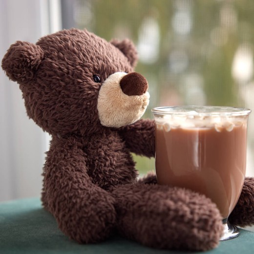 Bear : Fuzzy Chocolate - Small