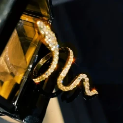 1pc Glamorous Snake Design Wrap Ring
