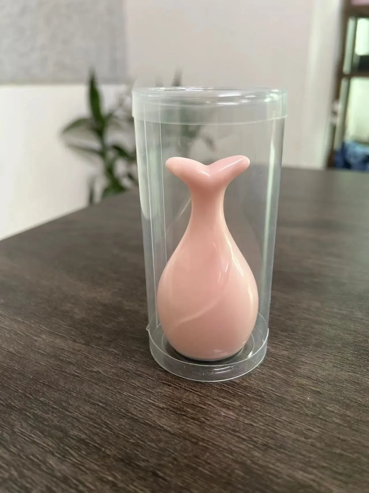 Hot And Cold Inductive Therapeutical Instrument