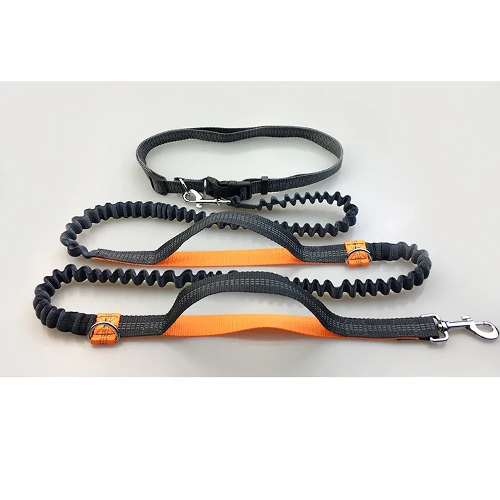 Pets running reflective pull dog leash double elastic