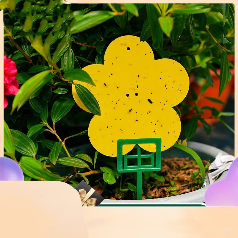 Yellow Insect Trap To Kill Small Flying Insects