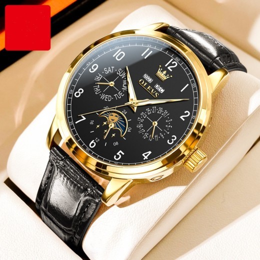Multi-Functional Mechanical Luminous Men's Watch