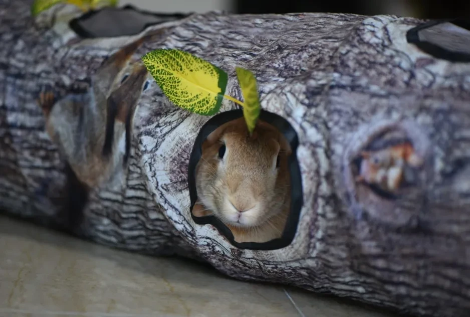 Tree Pattern Tunnel Pet Toy