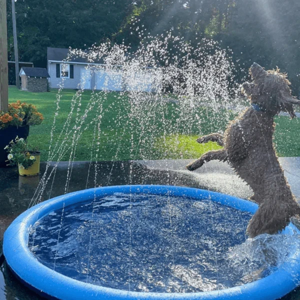 AquaPaws SplashPad