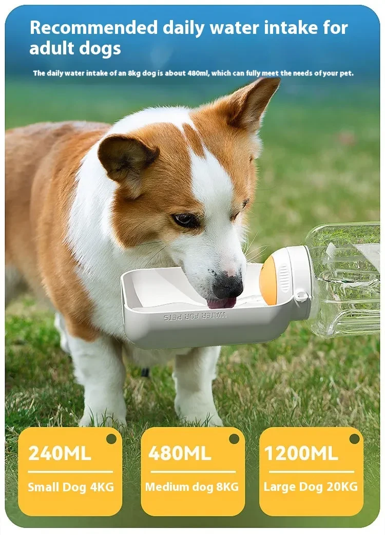 2 In 1 Dog Large Capacity Pets Outdoor Drinking Pot