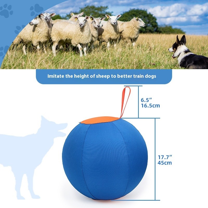 Funny Shiba Inu Corgi Self-Hi Pet Training Ball