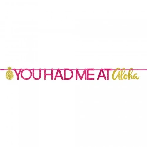 You Had Me At Aloha Glittered Cardboard Letter Banner