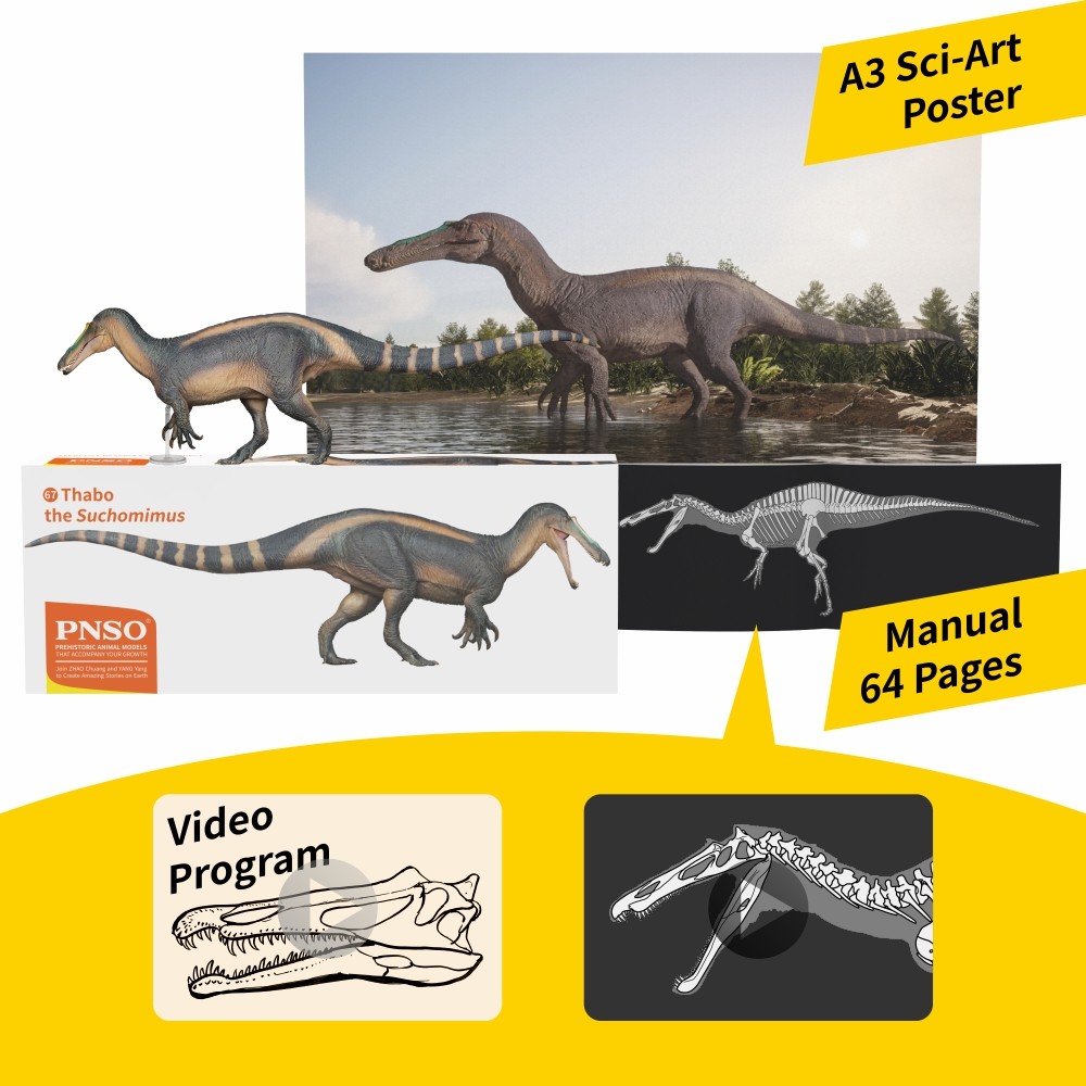 PNSO Prehistoric Dinosaur Model 67 ThaBo the Suchomimus