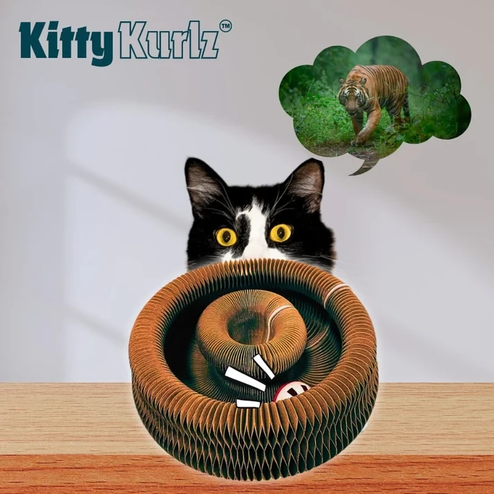 Kitty Kurlz