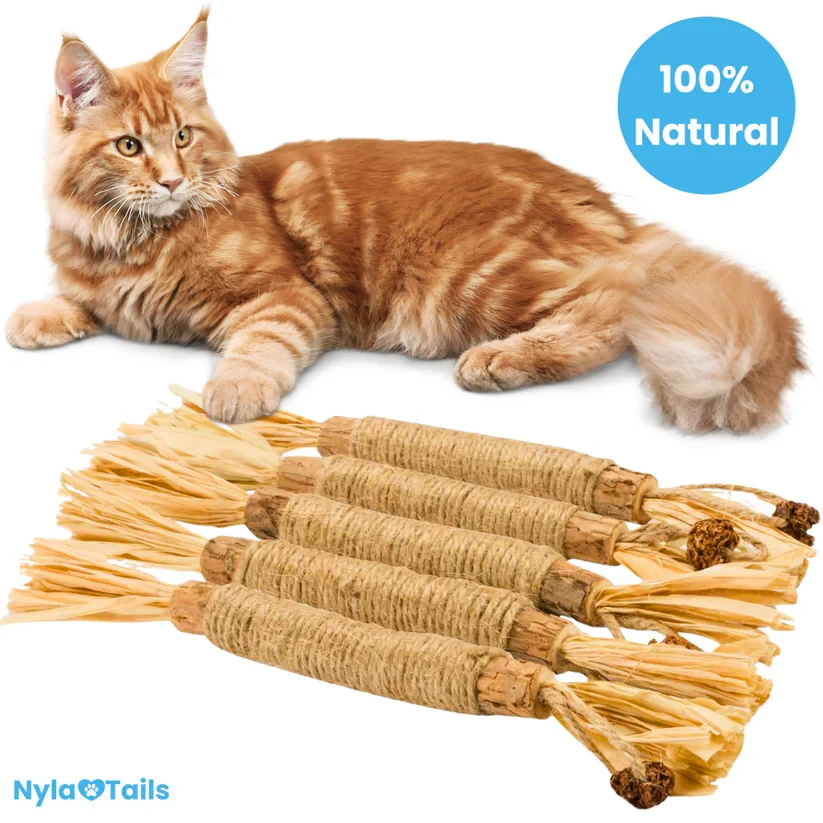 Nylatails Silvervine Dental Sticks