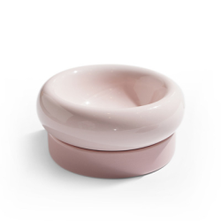 Ceramic cat food bowl