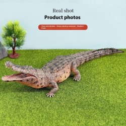 Ancient Animal Prehistoric Solid Animal Model Static Ornaments
