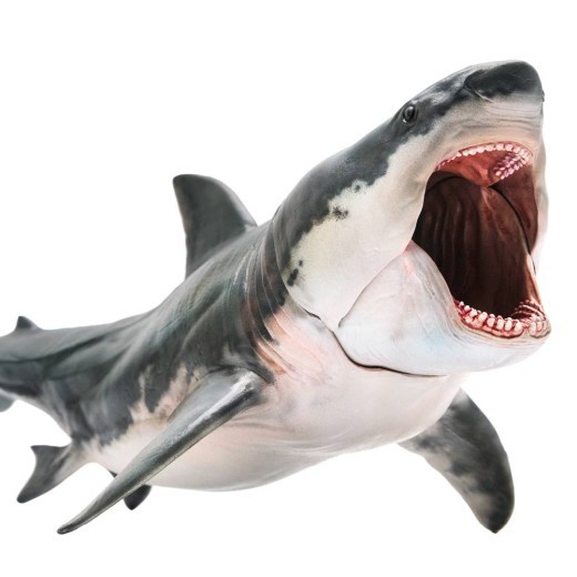 Shark simulation model