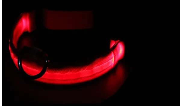 Pet Supplies Dog Collar Luminous Fashion