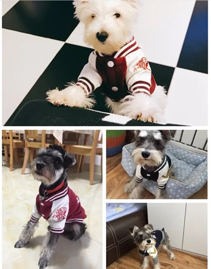 Korea Uni Dog Sweater, Yonsei Uni Dog Vest, French Bulldog Vest, English Bulldog Vest, Dog Clothes