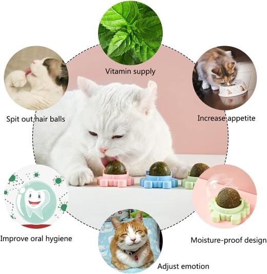 Catnip Wall Ball Piece Cat Toys Edible Cat Licking Toy Cat Chew Toy Teeth Cleaning Cat Bite Toy Rotatable Indoor Cat Toy Cat Wall Decoration