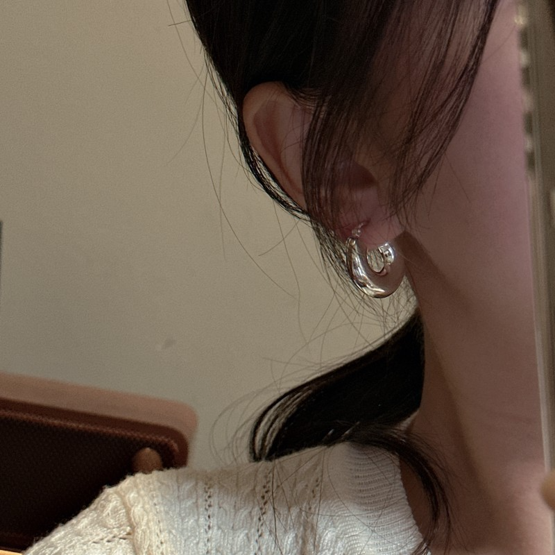 S925 Sterling Silver Design Earrings