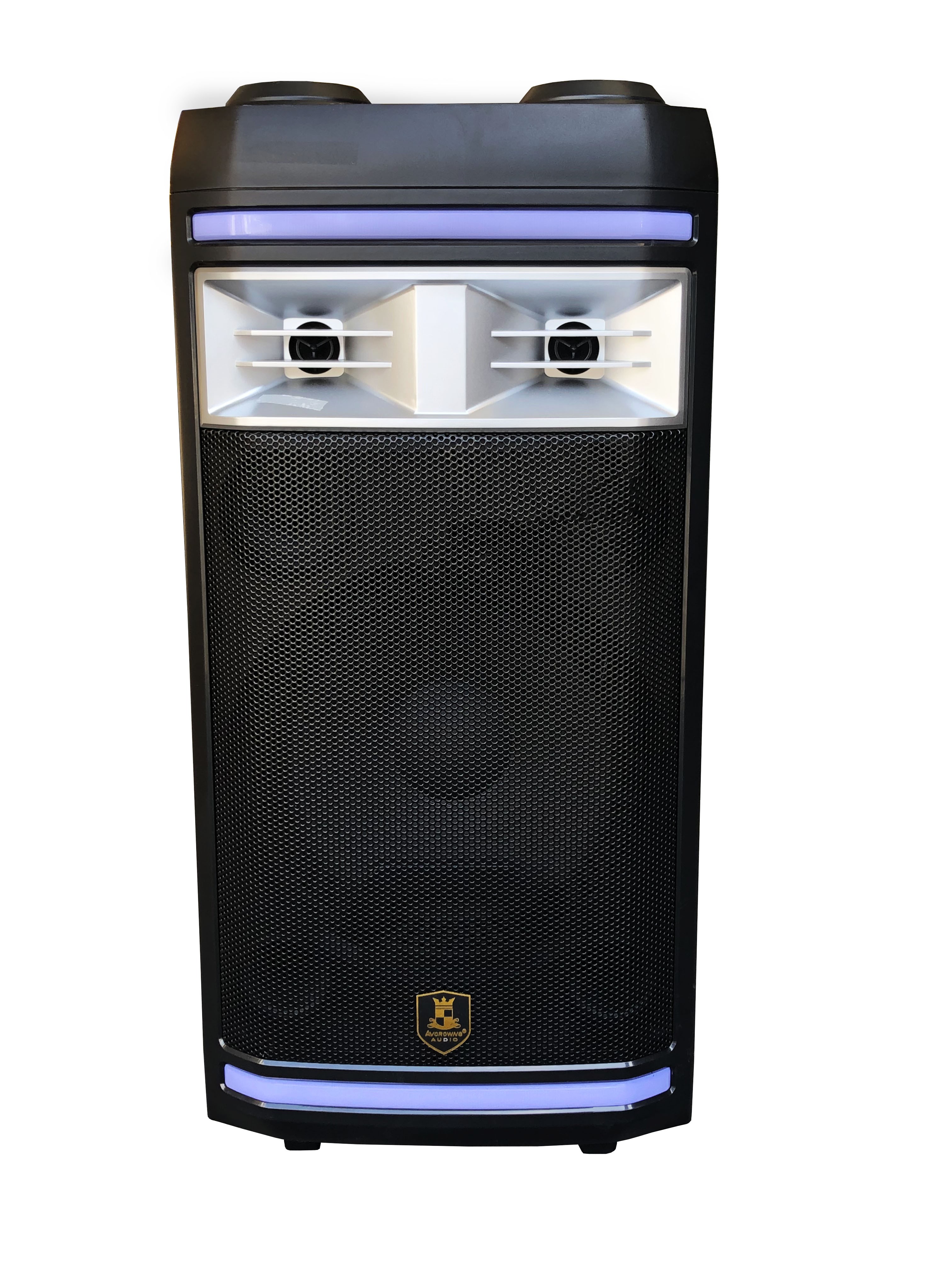 Outdoor Speaker LED with Twin Microphone