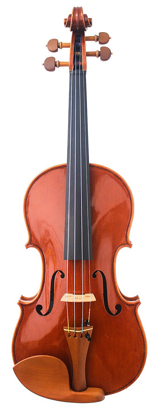 Violin Brown COLOR 1/8