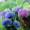 Outdoor Artificial Hydrangea Flowers