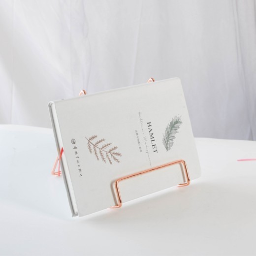 Nordic Ins Simple Creative Plate Book Record Booth Album Ipad Bracket Light Luxury Display Rack