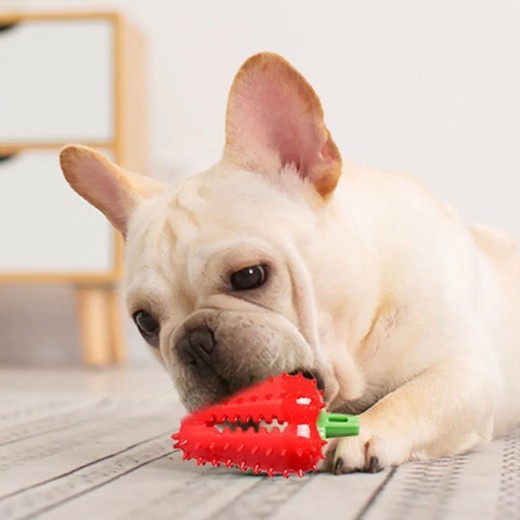 Interactive Dog Teething Chili Chewers Toy Interactive Toys Dog Toys