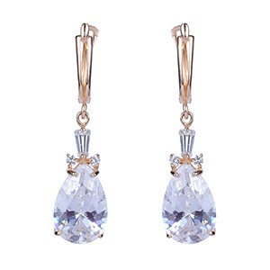 Ladies Fashion Earrings