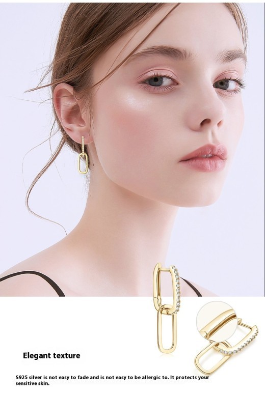 Light Luxury Design Double Ring Moissanite High Sense Niche S925 Silver Tassel Earrings