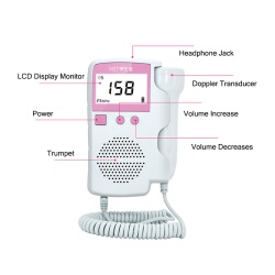 Pregnant women monitor Doppler fetal heart rate