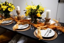 12 Pack Aero Dawn Table Knife  - Tablekraft