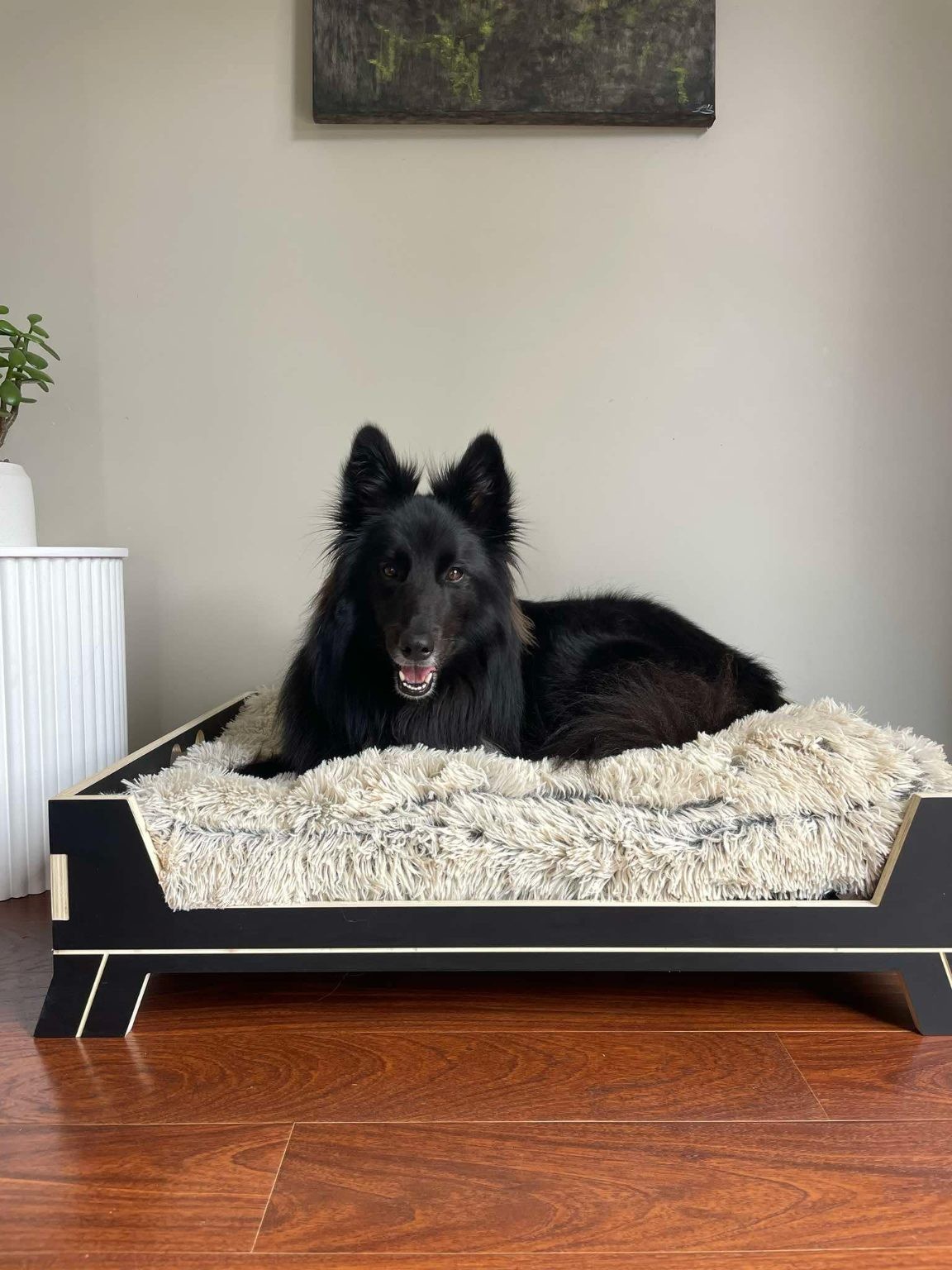 Luxury Dog bed with frame